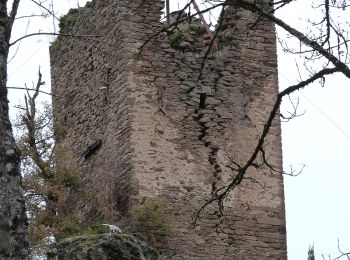 Excursión A pie Jouqueviel - Sentier de Lauretié et de l’Ouradou - Photo