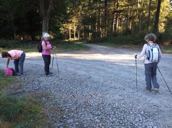 Tocht Noords wandelen Ger - MM2 camp deGer - Photo