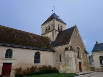 Tour Wandern Saint-Georges-sur-Cher - Saint-Georges-sur-Cher - 2015 12 31 - Photo