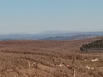 Trail Walking Larroque-Toirac - Cirques de bons - Château de Larropue Toirac  - Photo