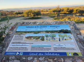 Excursión Senderismo Montagnac - ballade de 8 statues de Montagac - Photo