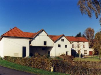 Tocht Te voet Maaseik - Tösch-Langeren Blauwe ruit - Photo
