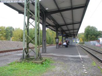 Trail On foot Brachbach - SchieferErzEisen - Weg - Photo