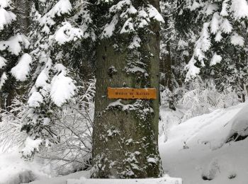 Percorso Sci alpinismo Mittlach - Rando Mittlach - Photo