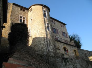 Randonnée A pied Chazay-d'Azergues - Tour des Pierres Dorées en Beaujolais - Photo