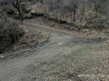 Randonnée Randonnée équestre Le Castellard-Mélan - Boucle 3,7 km au départ de Fontbarliere par Manent et les Collons - Photo