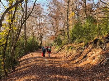 Trail Mountain bike Montfort - Montfort/Puimichel par les collines  - Photo