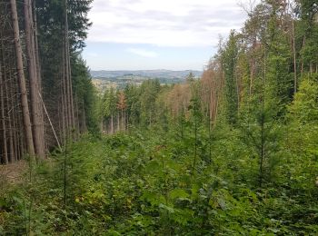 Tocht Lopen Chauffailles - jour 3 CAP Jeanot - Photo