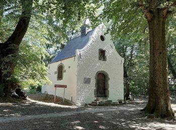 Tocht Stappen Beersel - RL-GG-24 - Beersel - Hennuyères - 2025-05-19 - Photo