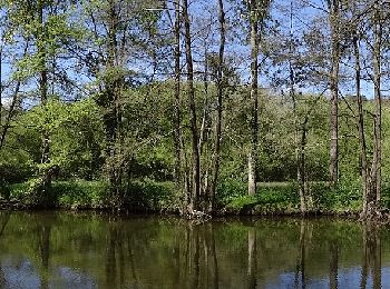 Tocht Te voet Pléchâtel - Circuit de la Pierre Longue - Photo