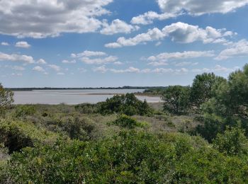 Randonnée Randonnée équestre Saintes-Maries-de-la-Mer - 2019-05-04 Rando CVA Camargue Bac Sauvage - Photo