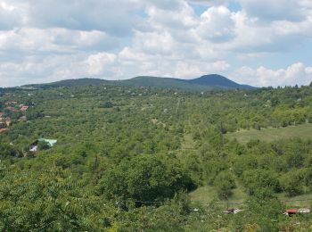 Tocht Te voet Pilisborosjenő - P■ (Kevély-nyereg - Pilisborosjenő) - Photo