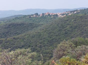 Tour Wandern Soumont - abbaye - Photo