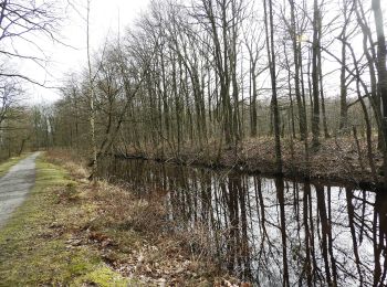 Tocht Te voet Stekene - Stropersbosroute - Lus 2 - Photo