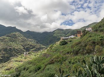 Tocht Stappen San Cristóbal de La Laguna - Los Platanes Saint Cristobal de La Laguna - Photo