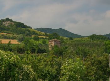 Tour Zu Fuß Bagnaria - IT-144b - Photo