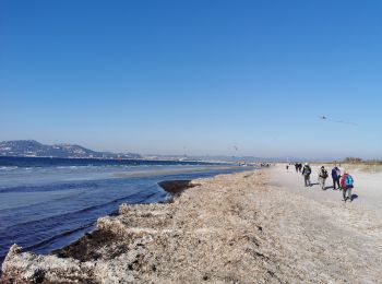 Trail Walking Hyères - Giens - Port Auguier - Chemin côtier - Photo