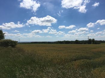 Tour Wandern Malville - Sentier du tertre - Photo