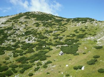 Randonnée A pied Feistritz ob Bleiburg - Hochpetzensteig - Photo