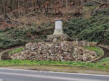 Tour Zu Fuß Weiler bei Bingen - Baumgeister-Tour - Photo