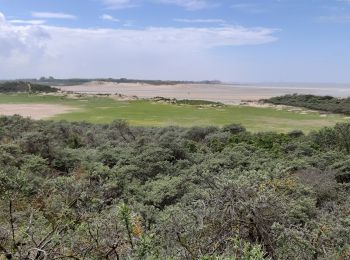 Tocht Hybride fiets Sluis - Cadzand Zwin Zoute - Photo