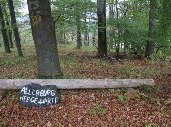 Percorso A piedi Gladenbach - Extratour Gladenbacher Berglandring - Photo