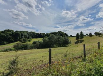 Tour Wandern Fléron - AU DÉPART DE MAGNEE - Photo