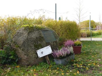 Percorso A piedi Hersbruck - Hersbrucker Rundweg Nr. 3 - Photo