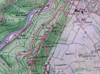 Randonnée Marche Saverne - château du Haut Barr -  GR53 - Photo