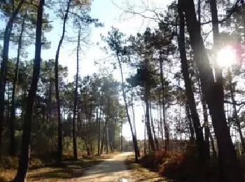 Randonnée Marche Seiches-sur-le-Loir - Boudré - Seiches sur le Loir - Photo