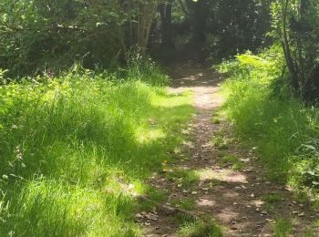 Tocht Stappen La Hague - Sur les pas de Jean-François Millet  - Photo