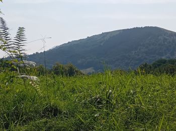 Excursión Senderismo Itxassou - Itxassou (pas de Roland) - Photo
