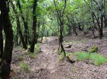 Randonnée Marche Méounes-lès-Montrieux - Boucle autour de Montrieux et bord du Gapeau - Photo