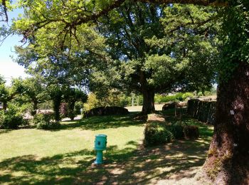 Excursión Senderismo Eymoutiers - Visite d'Eymoutiers départ du camping 🏕  - Photo