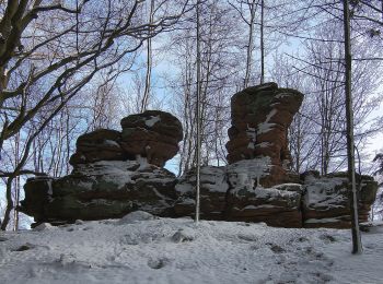 Trail On foot Lembach - Sieben-Burgen-Tour - Photo