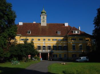 Tour Zu Fuß Gnas - Kaskögerlweg - Photo