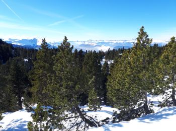 Excursión Raquetas de nieve Vaulnaveys-le-Haut - Lac Achard, col de l'infernet, col de la Botte au départ de l'Arselle - Photo