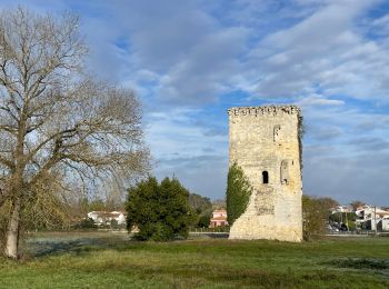 Trail Walking Mérignac - Mérignac les parcs - Photo