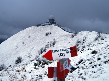 Percorso A piedi Zerba - Cerreto - Zerba - Monte Lesimina - Monte Lesima - Photo