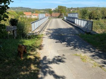 Excursión Marcha nórdica Isques - Les 3 fontaines isques  - Photo