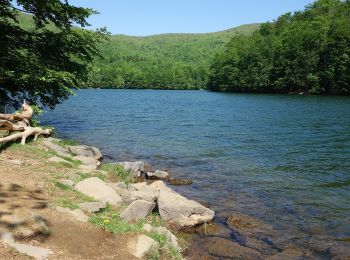 Excursión A pie okres Sobrance - Náučný chodník Remetské Hámre - Morské oko - Photo