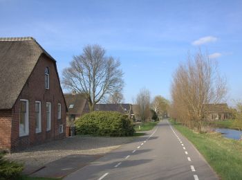 Trail On foot De Ronde Venen - Bellopad - Photo