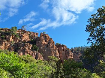 Randonnée Marche Roquebrune-sur-Argens - La Bouverie - Gorges du Blavet - Grotte du Muéron - Photo