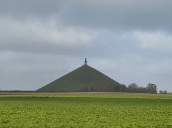 Excursión Senderismo Waterloo - Tour du lion - Photo