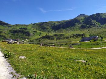 Randonnée Marche Untertauern - Seekarspitze - Photo