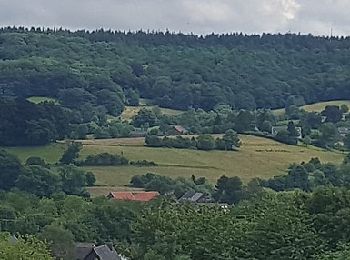 Trail On foot Vaals - Vaals SBB35 - Photo