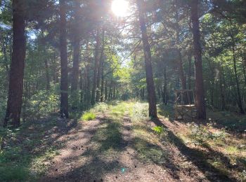 Randonnée Marche Saint-Christol - Grand-Bois Saint-Christol (grand tour) - Photo