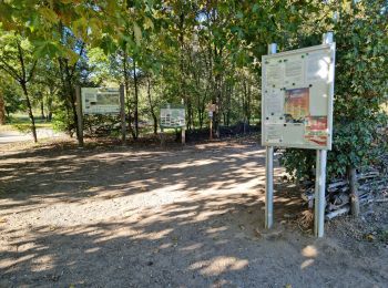 Tocht Stappen La Ville-aux-Dames - Île de la Métairie à La Ville-aux-Dames - Photo