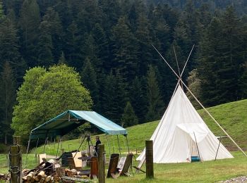 Randonnée Randonnée équestre Niderviller - Rando tipi - Photo