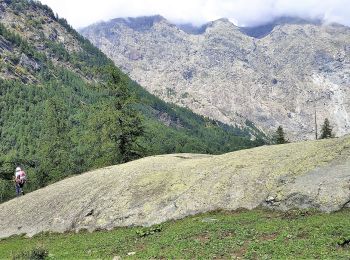 Percorso A piedi Balme - IT-213 - Photo